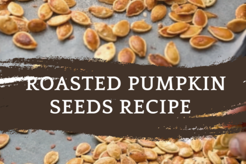 Roasted Pumpkin Seeds Recipe – Crunchy, Spicy & Addictive